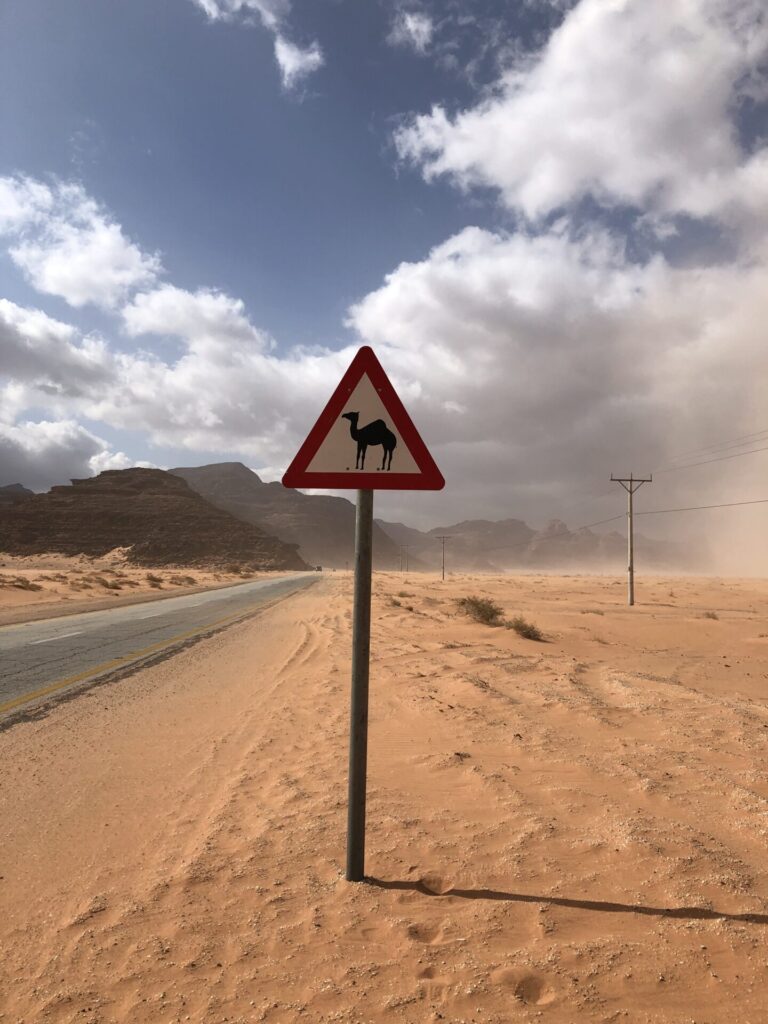 Verkeersbord kameel 1